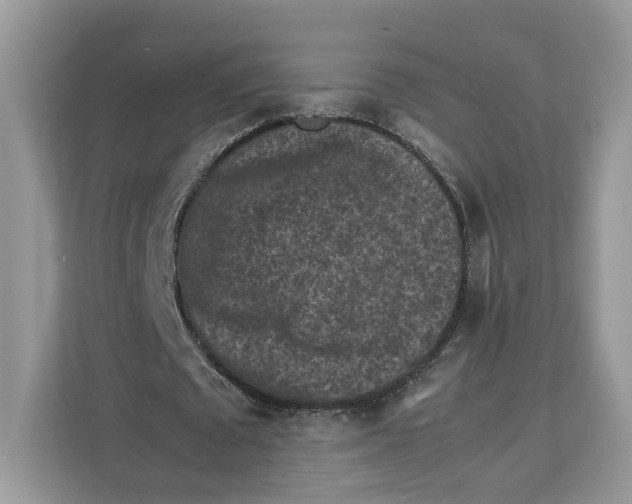 X0000112210673200908281500