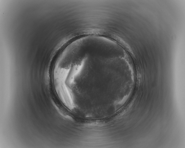 X0000112210674200908281500
