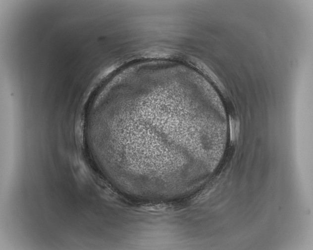 X0000112210675200908281500