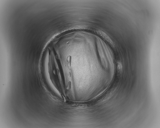 X0000112210676200908281500