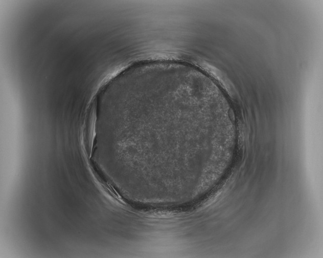 X0000112210677200908281500