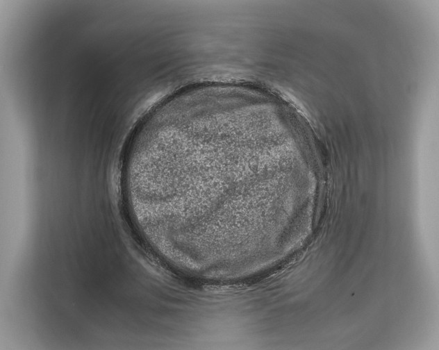 X0000112210679200908281500