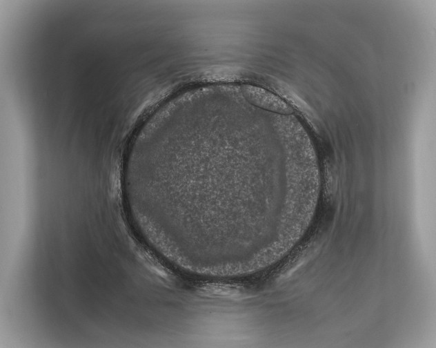 X0000112210681200908281500