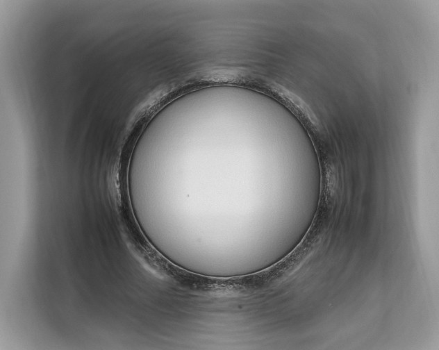 X0000112210682200908281500