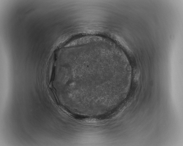 X0000112210685200908281500
