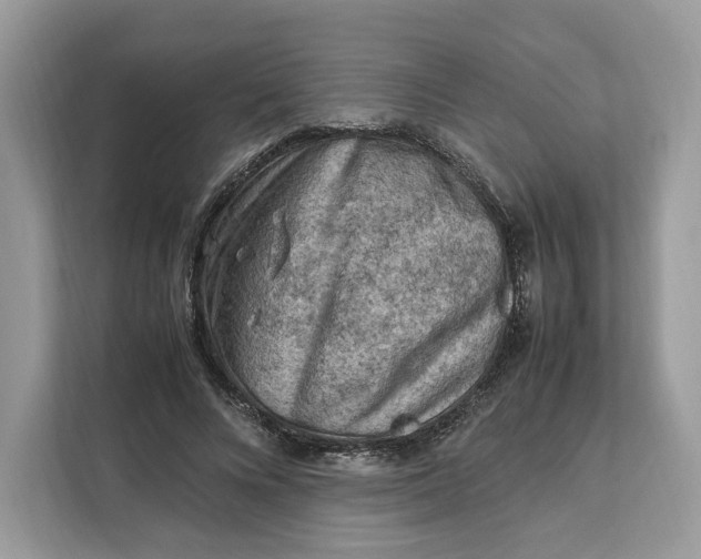 X0000112210688200908281500