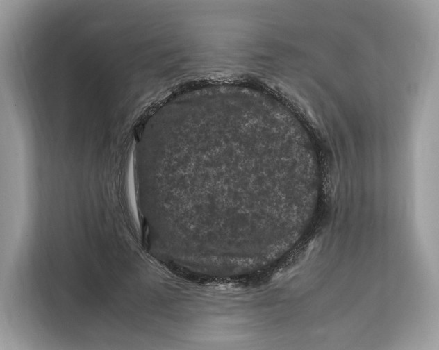 X0000112210689200908281500
