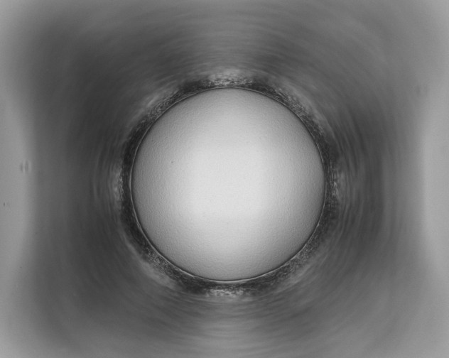 X0000112210690200908281500
