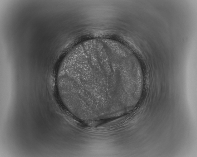 X0000112210691200908281500