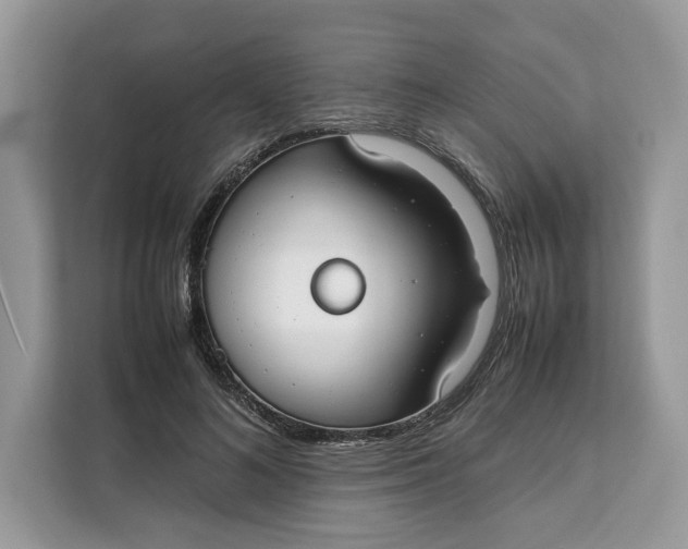 X0000112210692200908281500