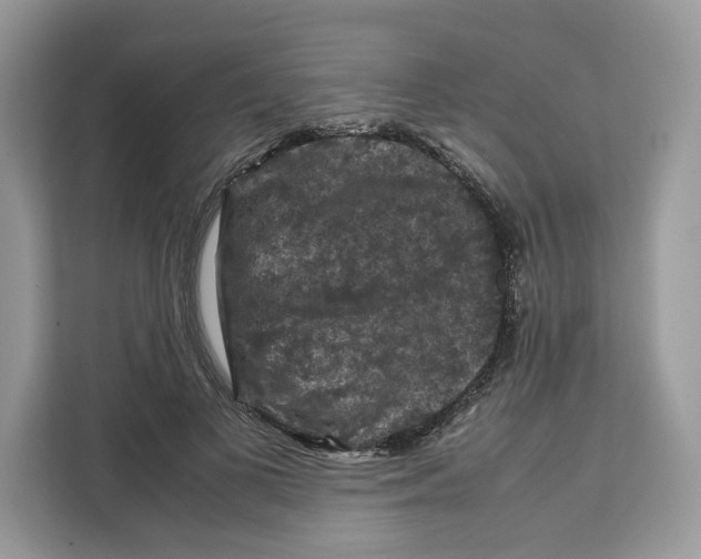 X0000112210693200908281500