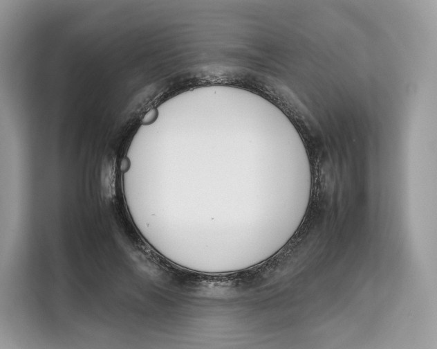 X0000112210694200908281500