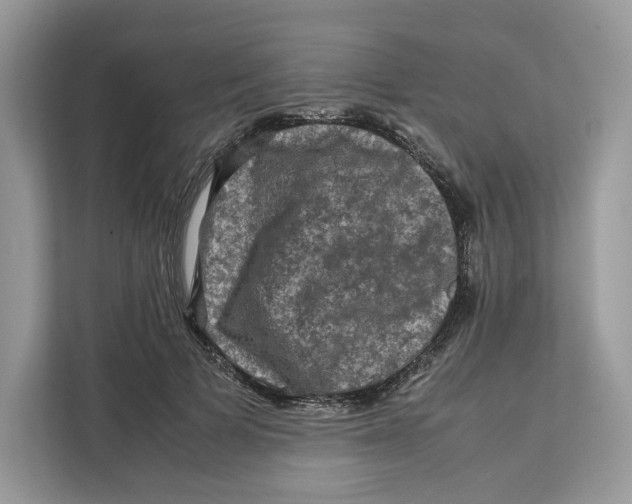 X0000112210697200908281500