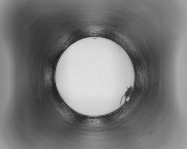 X0000112210698200908281500