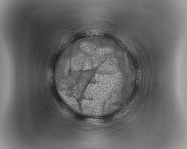 X0000112210699200908281500