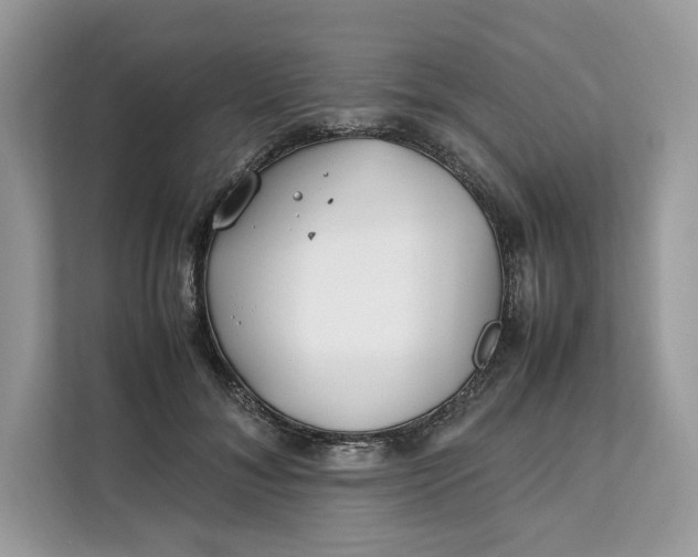 X0000112210700200908281500