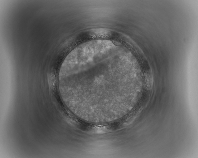 X0000112210701200908281500