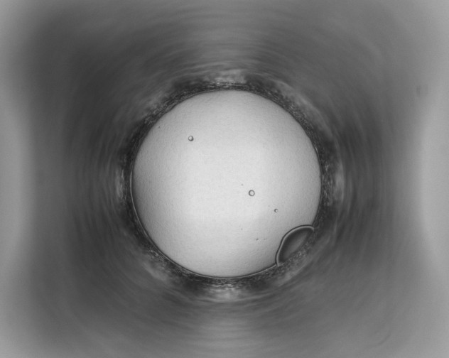 X0000112210704200908281500