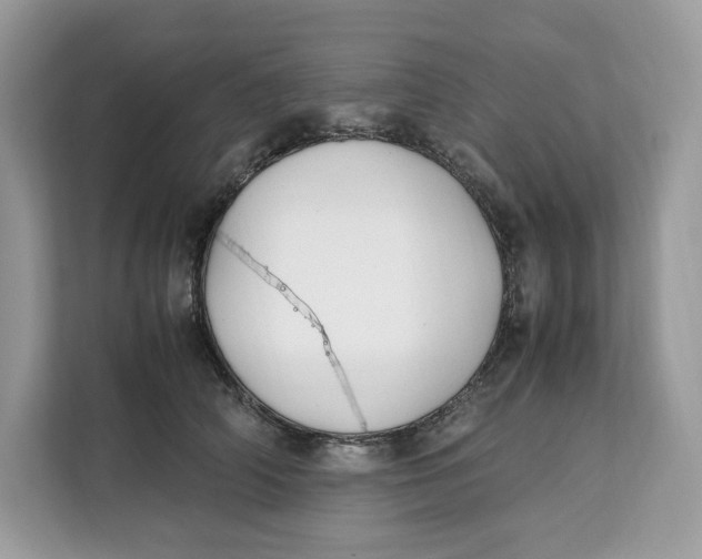 X0000112210706200908281500