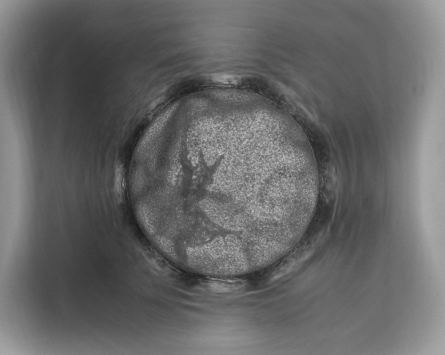 X0000112210707200908281500