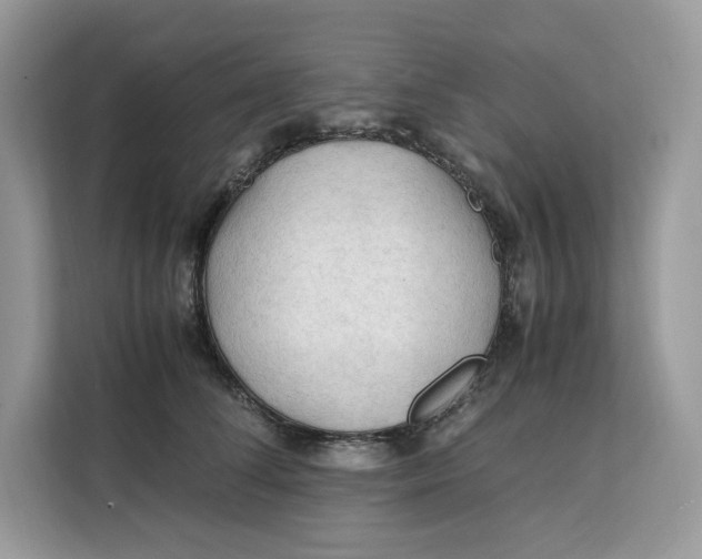 X0000112210708200908281500