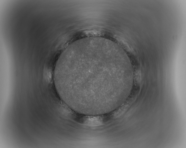X0000112210709200908281500