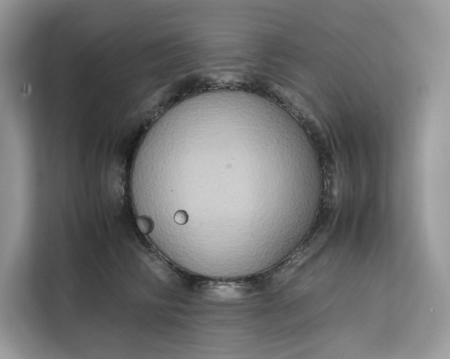X0000112210710200908281500