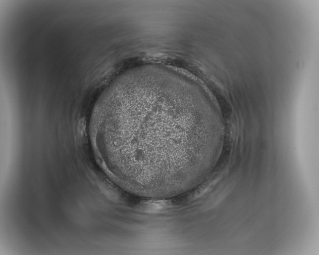 X0000112210711200908281500