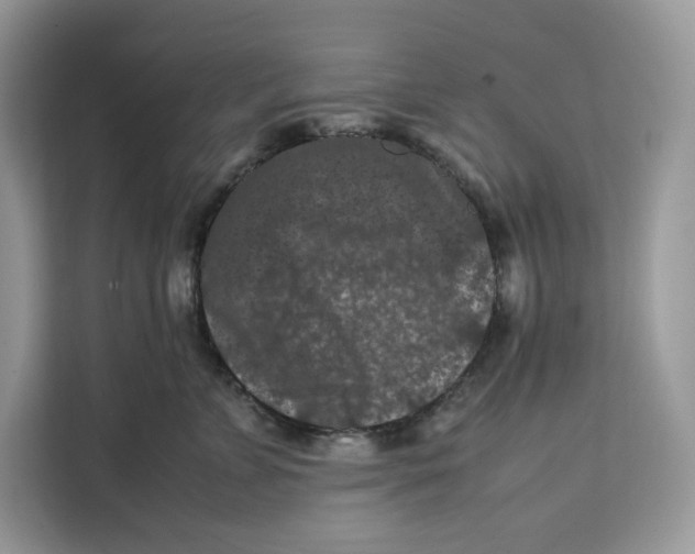 X0000112210715200908281500