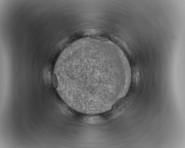 X0000112210716200908281500