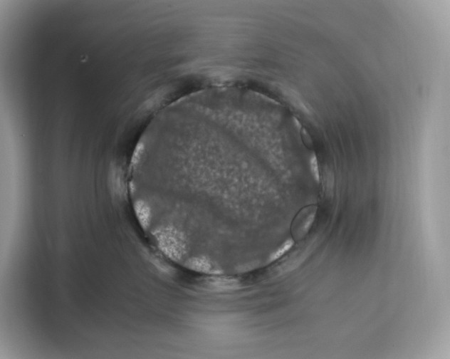X0000112210719200908281500