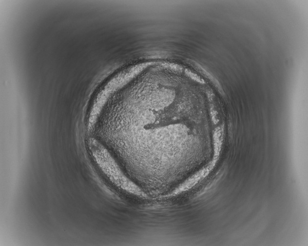 X0000112210721200908281459