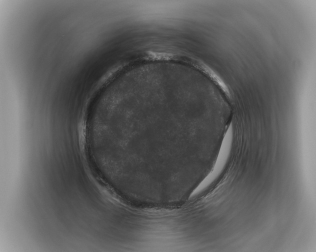 X0000112210722200908281459