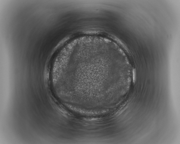 X0000112210723200908281459