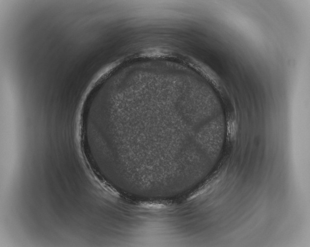 X0000112210724200908281459