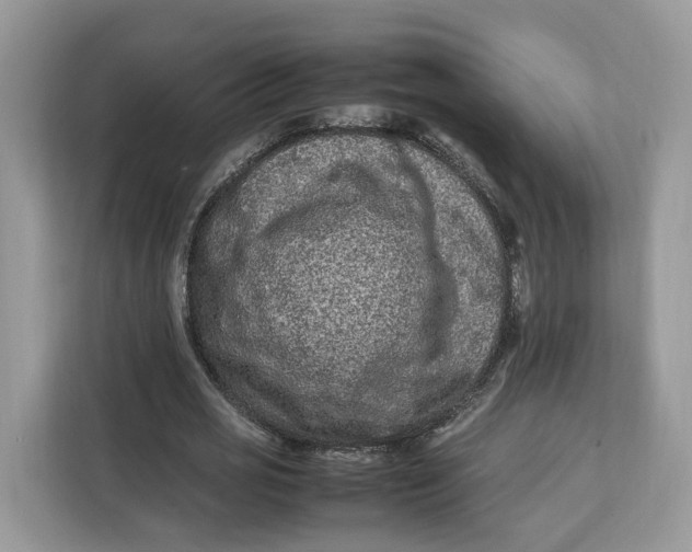 X0000112210725200908281459