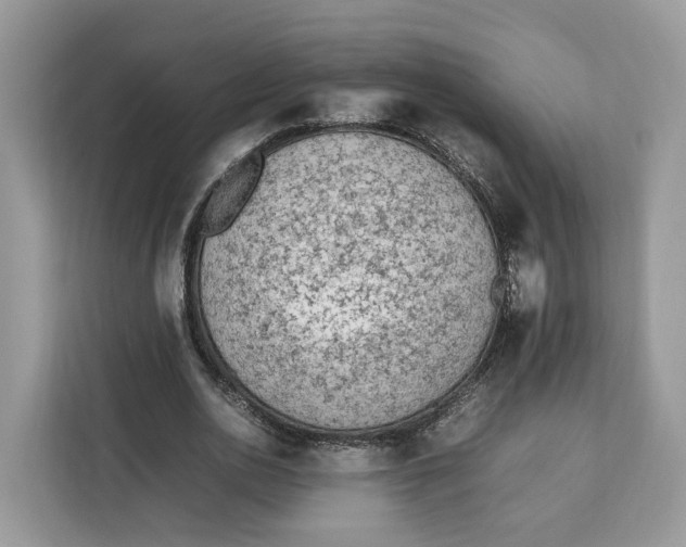 X0000112210726200908281459