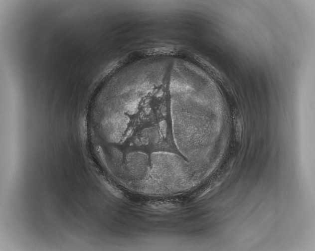 X0000112210729200908281459