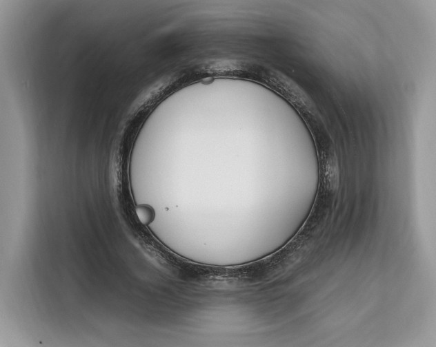 X0000112210732200908281459