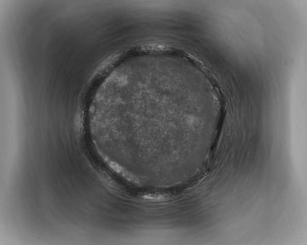 X0000112210735200908281459