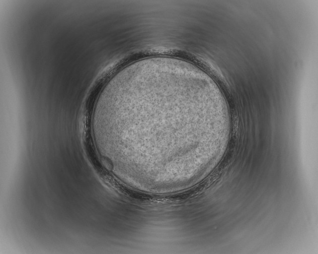 X0000112210736200908281459