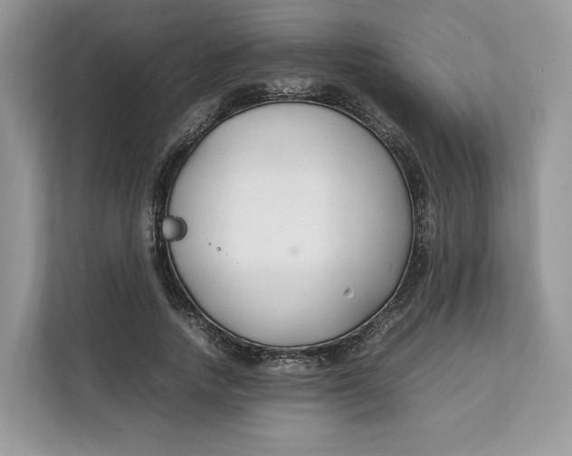 X0000112210738200908281459