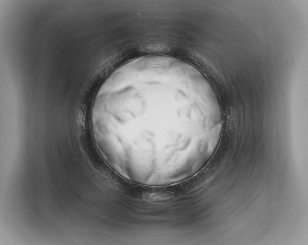 X0000112210739200908281459