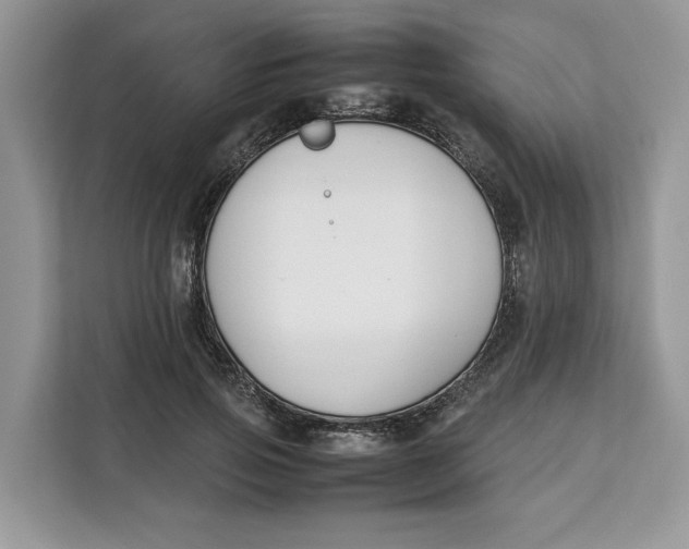 X0000112210741200908281459