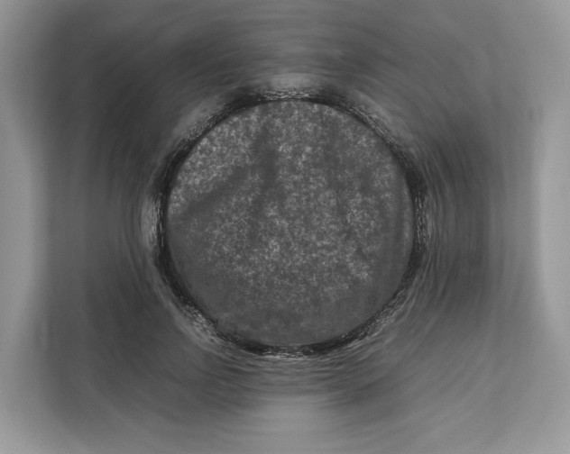 X0000112210742200908281459