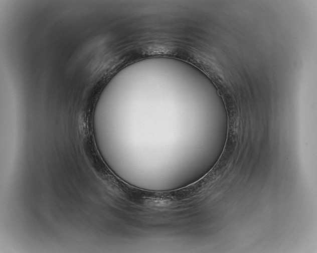 X0000112210743200908281459