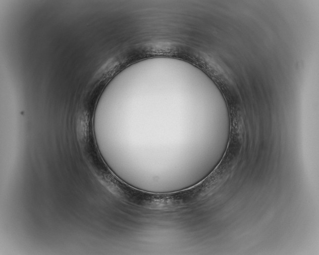 X0000112210744200908281459