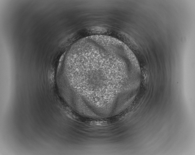 X0000112210745200908281459