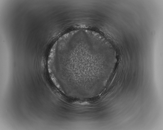 X0000112210747200908281459