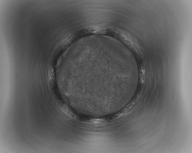 X0000112210748200908281459